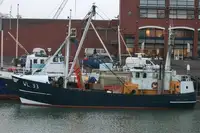 Trawler rao bán