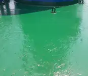 Tàu chở hàng rời để bán