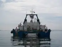 Đa mục đích rao bán