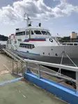 Tàu chở hàng rời để bán