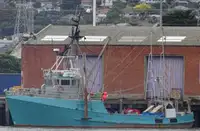 Trawler rao bán