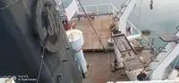 Tàu chở hàng rời để bán