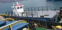 Tàu làm việc để bán