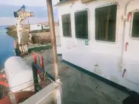 Tàu đổ bộ, chở hàng để bán