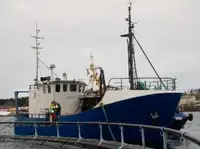 Trawler rao bán