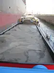 Sà lan để bán