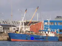Beam trawler rao bán