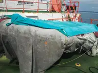 Tàu kéo để bán