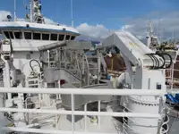 Tàu lưới vây để bán