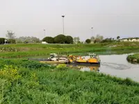 Sà lan để bán