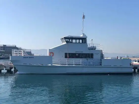 Tàu hai thân để bán