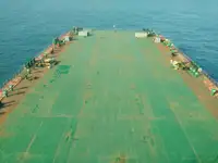 Tàu chở hàng rời để bán