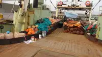 Tàu kéo lưới để bán