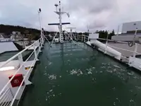 Tàu chở hàng rời để bán