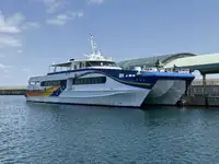 Tàu hai thân để bán