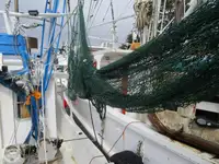Tàu kéo lưới để bán