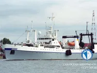 Tàu kéo lưới để bán