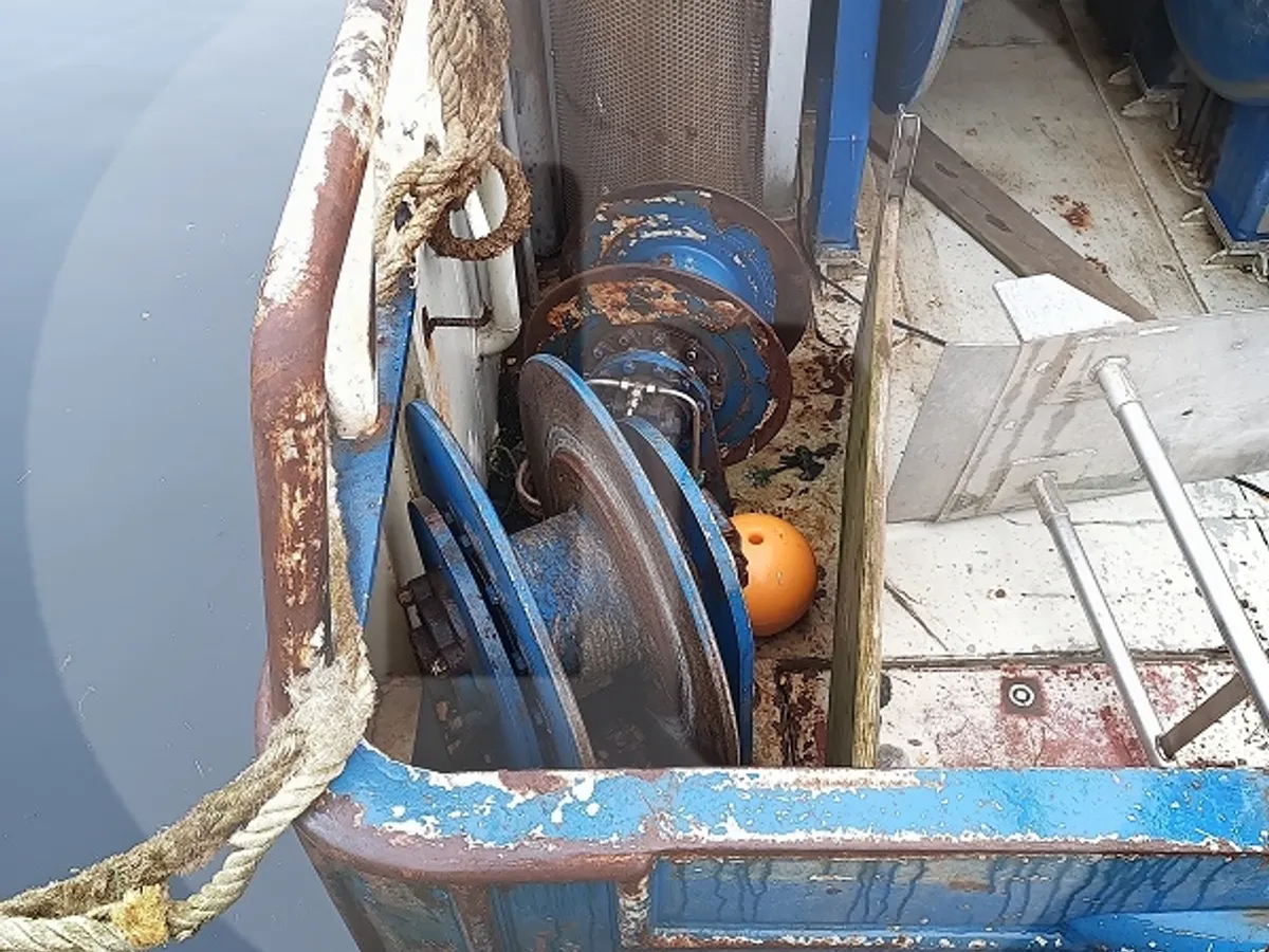 Tàu chở cá sống để bán