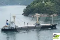 Tàu chở hàng rời để bán