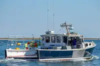 Purse seiner rao bán
