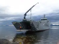 Tàu đổ bộ, chở hàng để bán