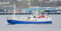 Purse seiner rao bán