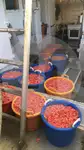 Tàu kéo lưới ngang để bán