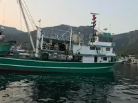 Tàu lưới vây để bán