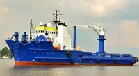 Tàu container rao bán