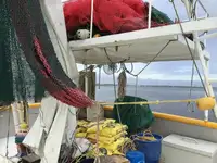 Tàu kéo lưới để bán