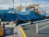 Trawler rao bán