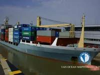 Tàu lạnh để bán