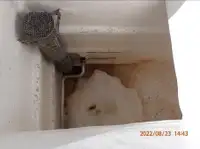 Tàu lưới vây để bán