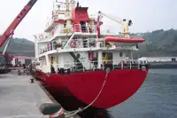 Tàu chở hàng rời để bán