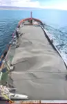 Tàu container để bán