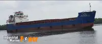 Tàu container rao bán