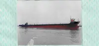 Tàu nâng hạng nặng rao bán