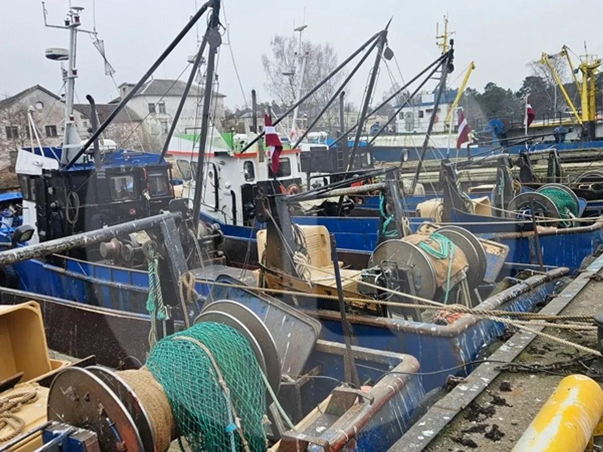 Tàu chở cá sống để bán