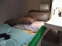 Tàu đánh cá để bán