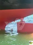 Tàu chở hàng rời để bán