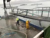 Tàu làm việc để bán