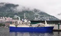 Tàu lưới vây để bán