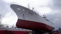 Tàu câu dài để bán