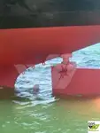 Tàu chở hàng rời để bán