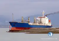 Tàu lạnh để bán