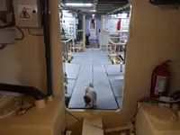 General Cargo/Multi-purpose để bán