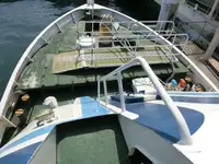 Tàu du lịch để bán
