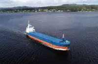 Tàu chở hàng rời để bán