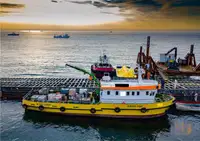 Tàu làm việc để bán