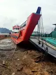 Tàu đổ bộ, chở hàng để bán